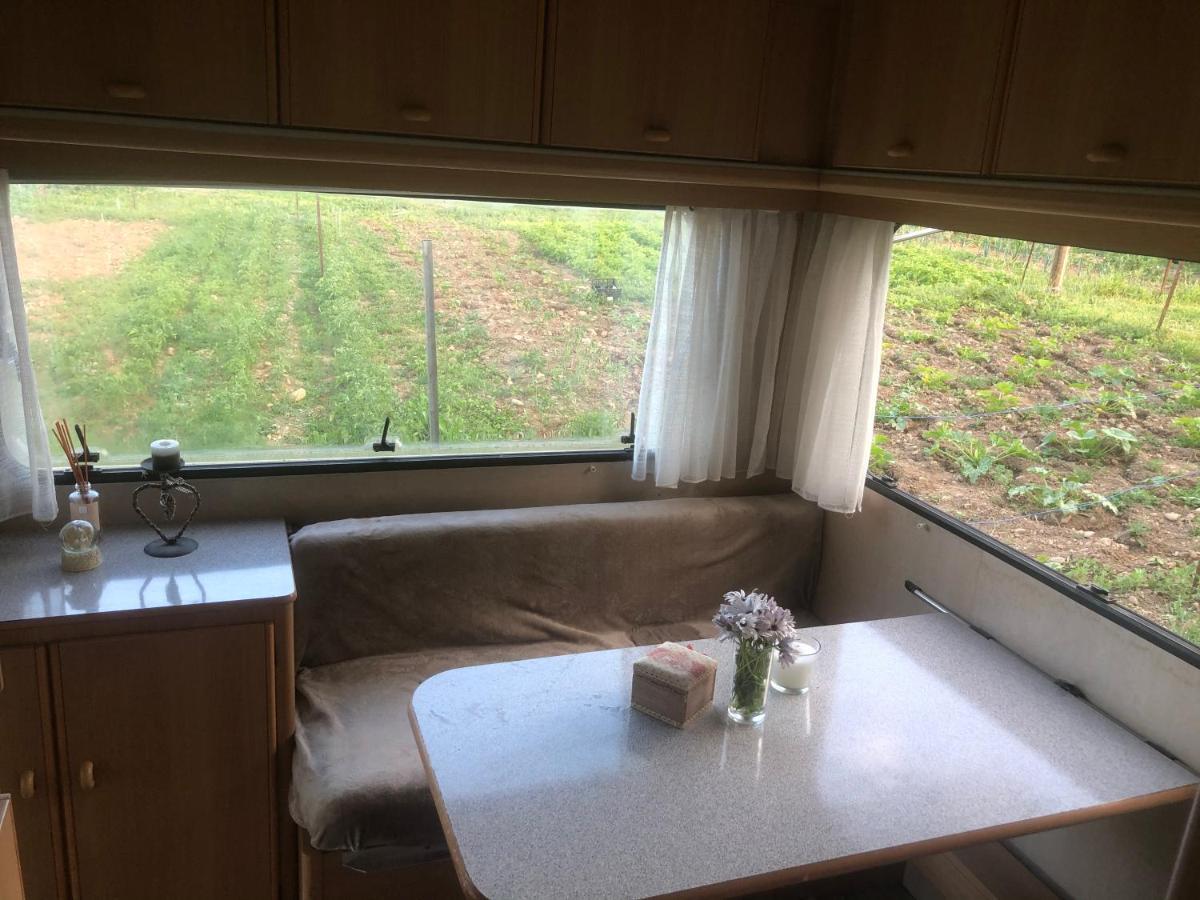 La Ferme De Rotani Hotel Aleria  Luaran gambar