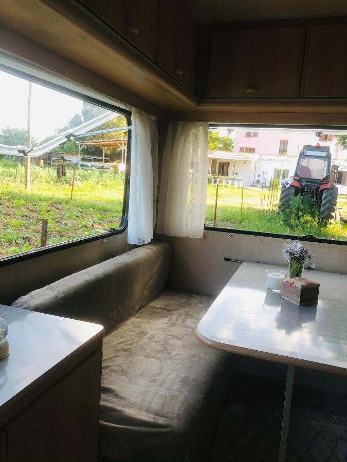 La Ferme De Rotani Hotel Aleria  Luaran gambar