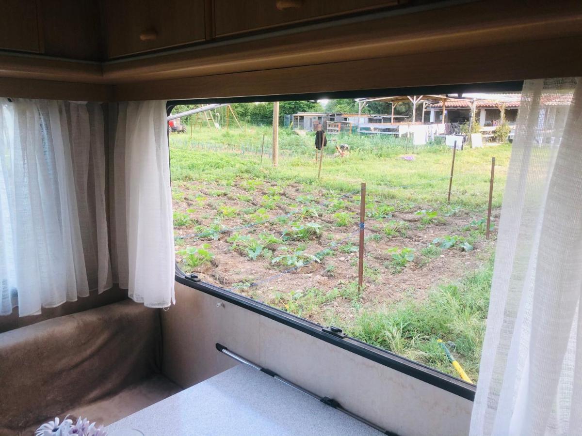 La Ferme De Rotani Hotel Aleria  Luaran gambar